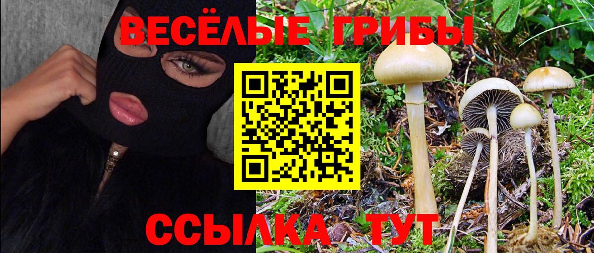 Орехово-Зуево  Псилоцибиновые грибы ЛСД  Вход с VPN  где можно купить   Псилоцибиновые грибы ЛСД 